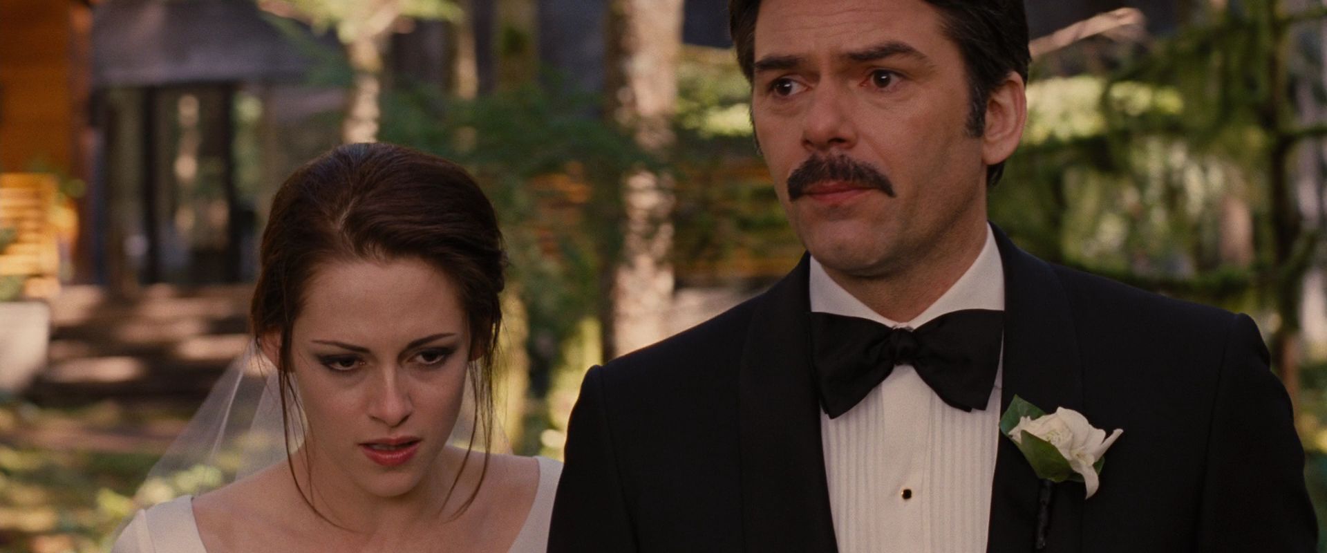 BreakingDawnPt1-0532.jpg