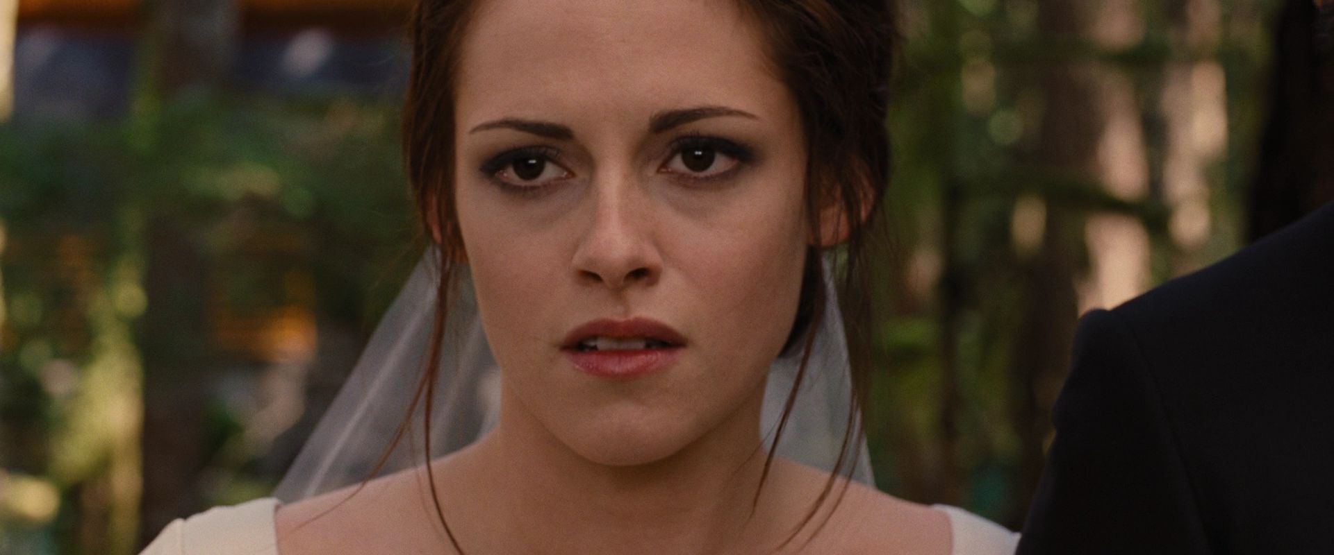 BreakingDawnPt1-0541.jpg