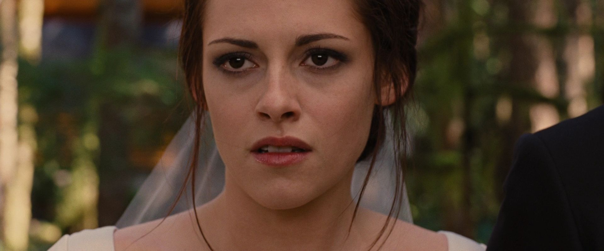 BreakingDawnPt1-0542.jpg