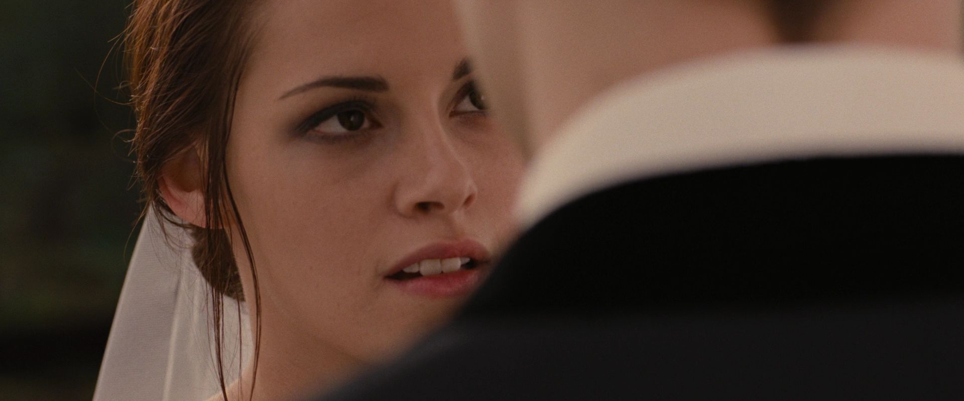 BreakingDawnPt1-0608.jpg