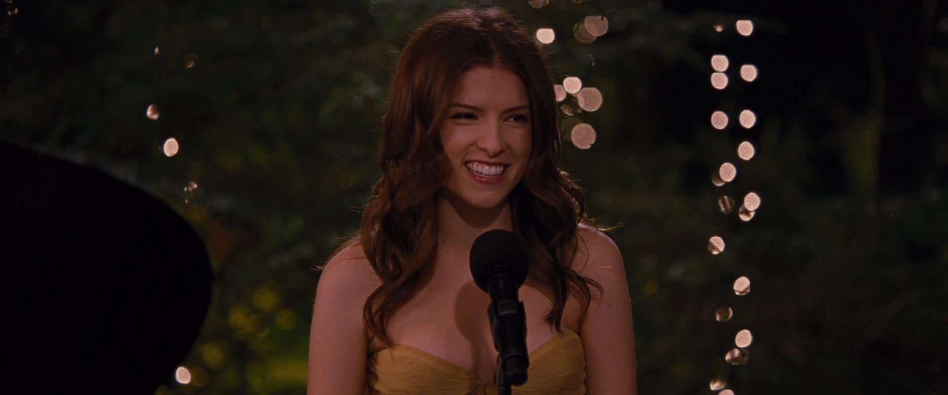BreakingDawnPt1-0803.jpg