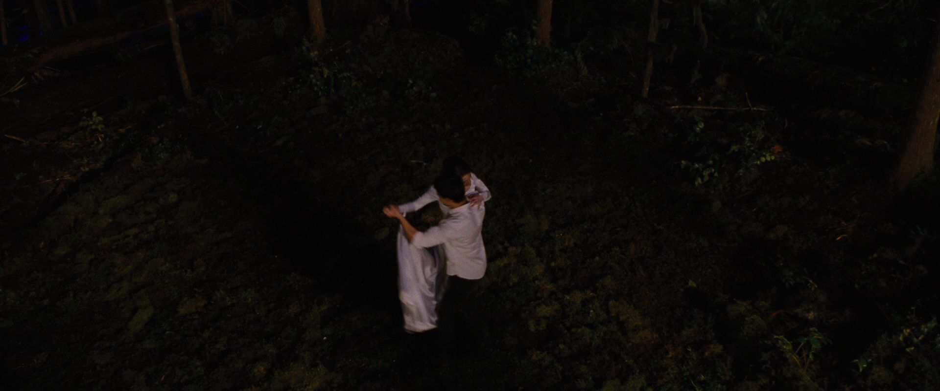 BreakingDawnPt1-1005.jpg
