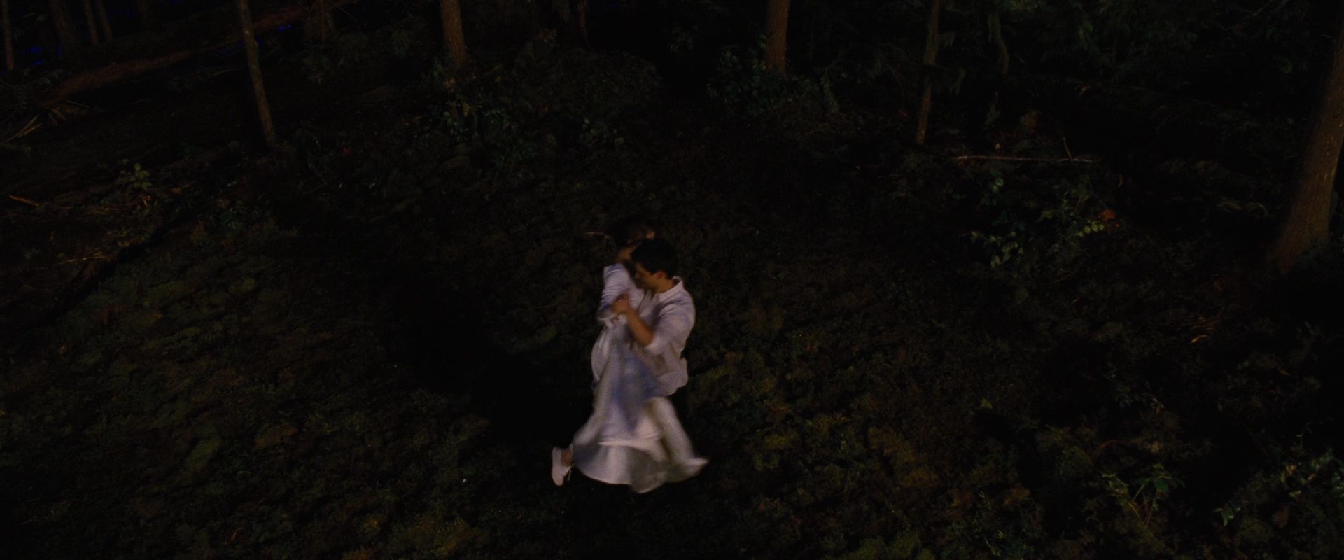 BreakingDawnPt1-1007.jpg