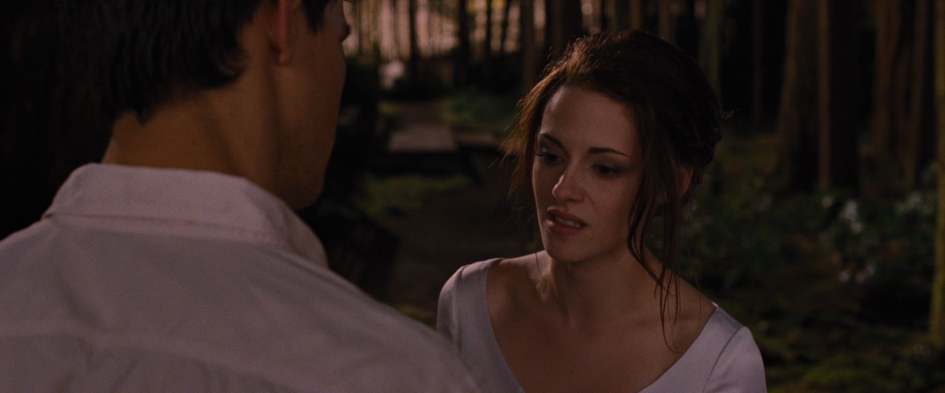 BreakingDawnPt1-1049.jpg