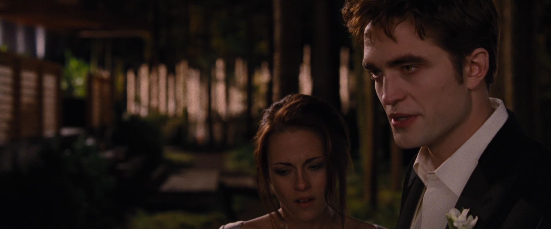 BreakingDawnPt1-1057.jpg