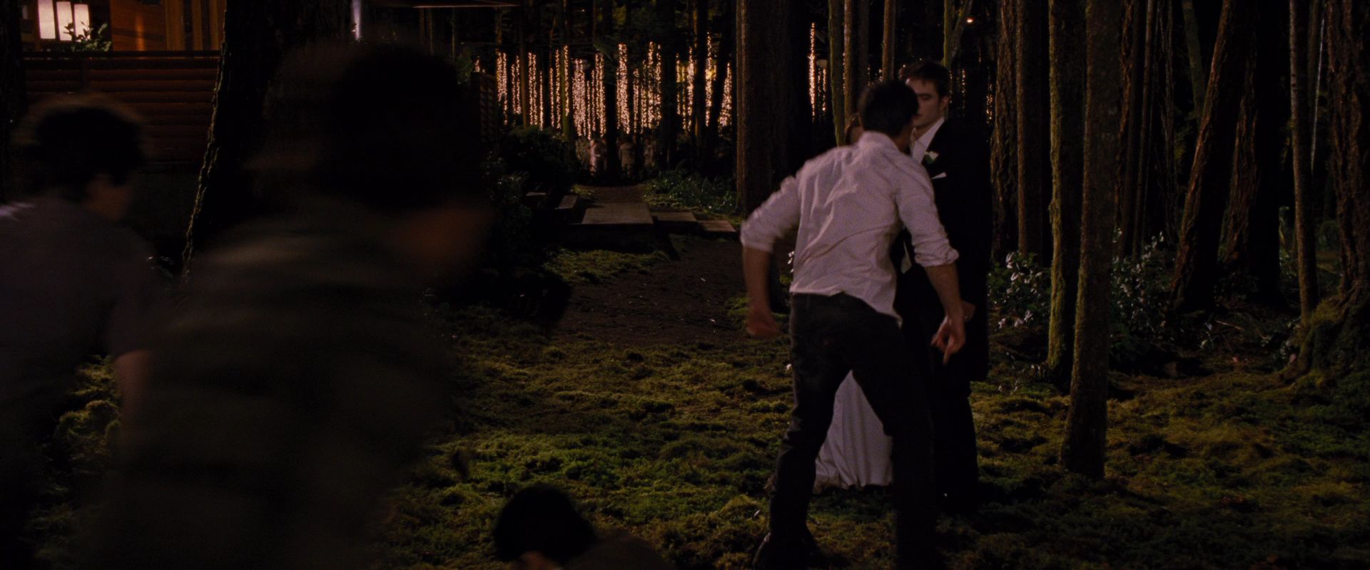 BreakingDawnPt1-1061.jpg