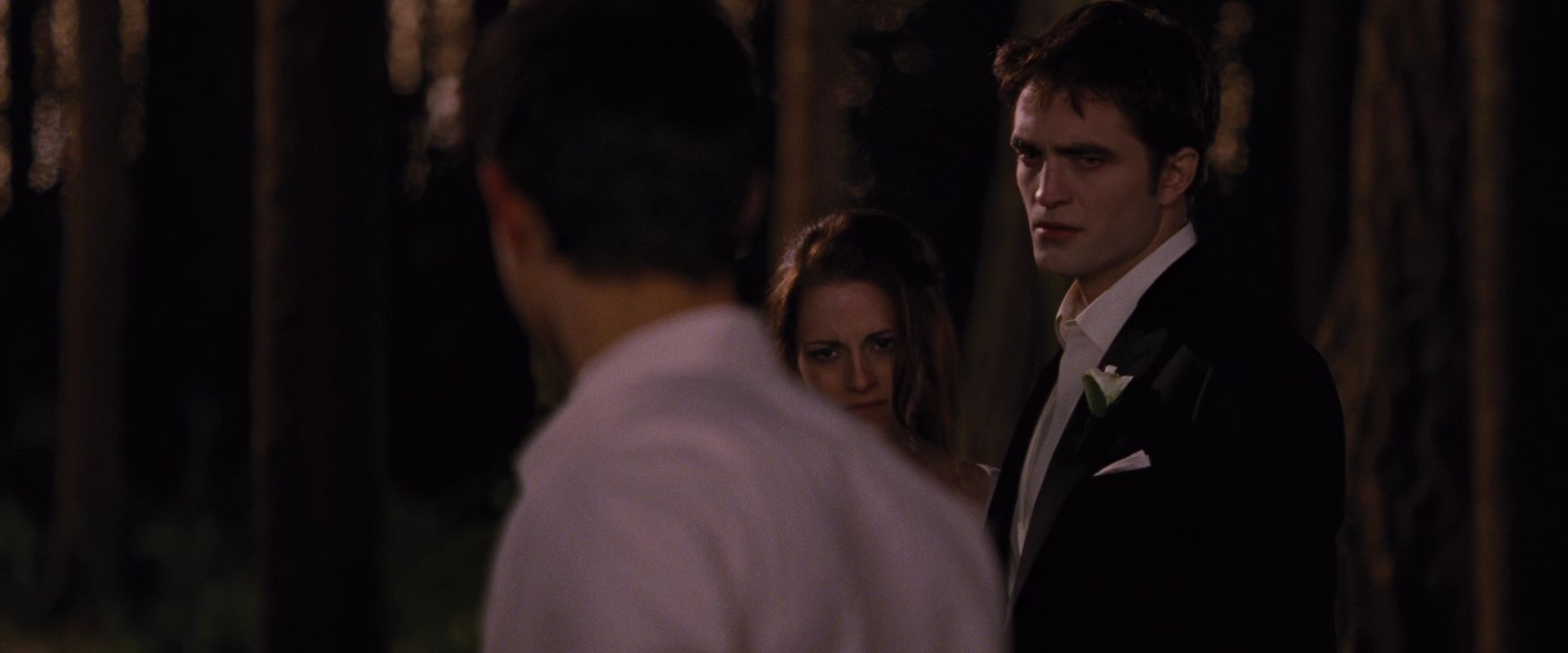 BreakingDawnPt1-1074.jpg