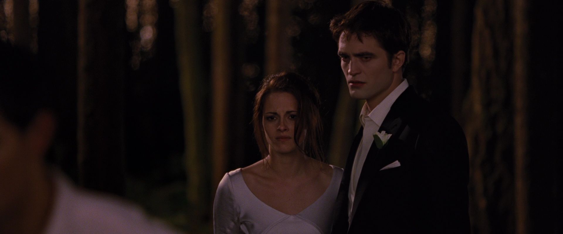BreakingDawnPt1-1076.jpg