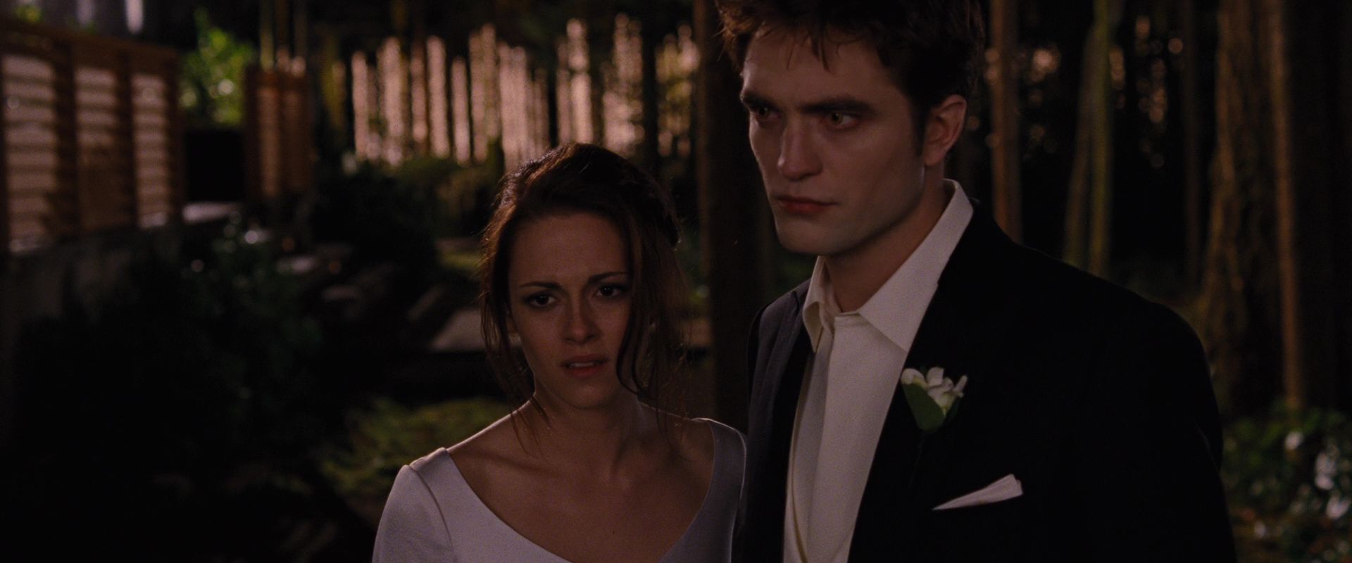 BreakingDawnPt1-1080.jpg