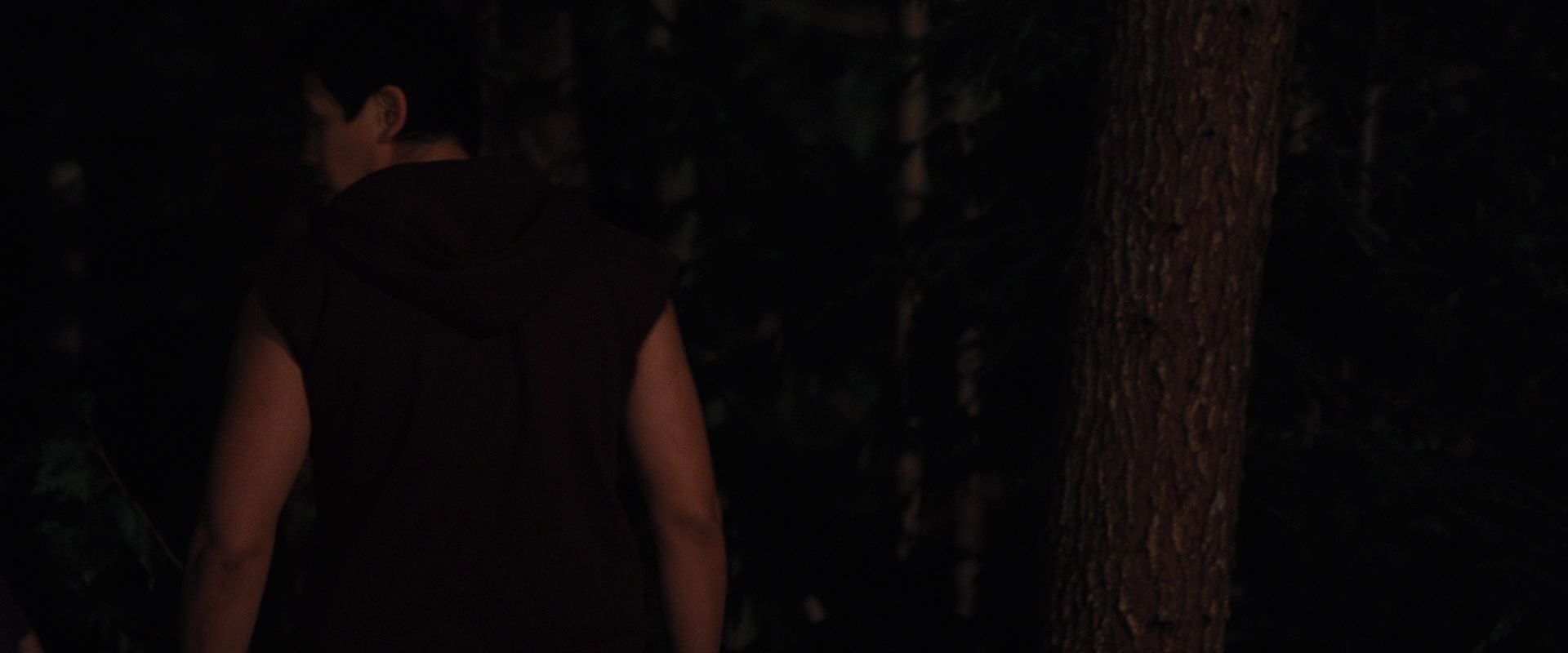 BreakingDawnPt1-1083.jpg