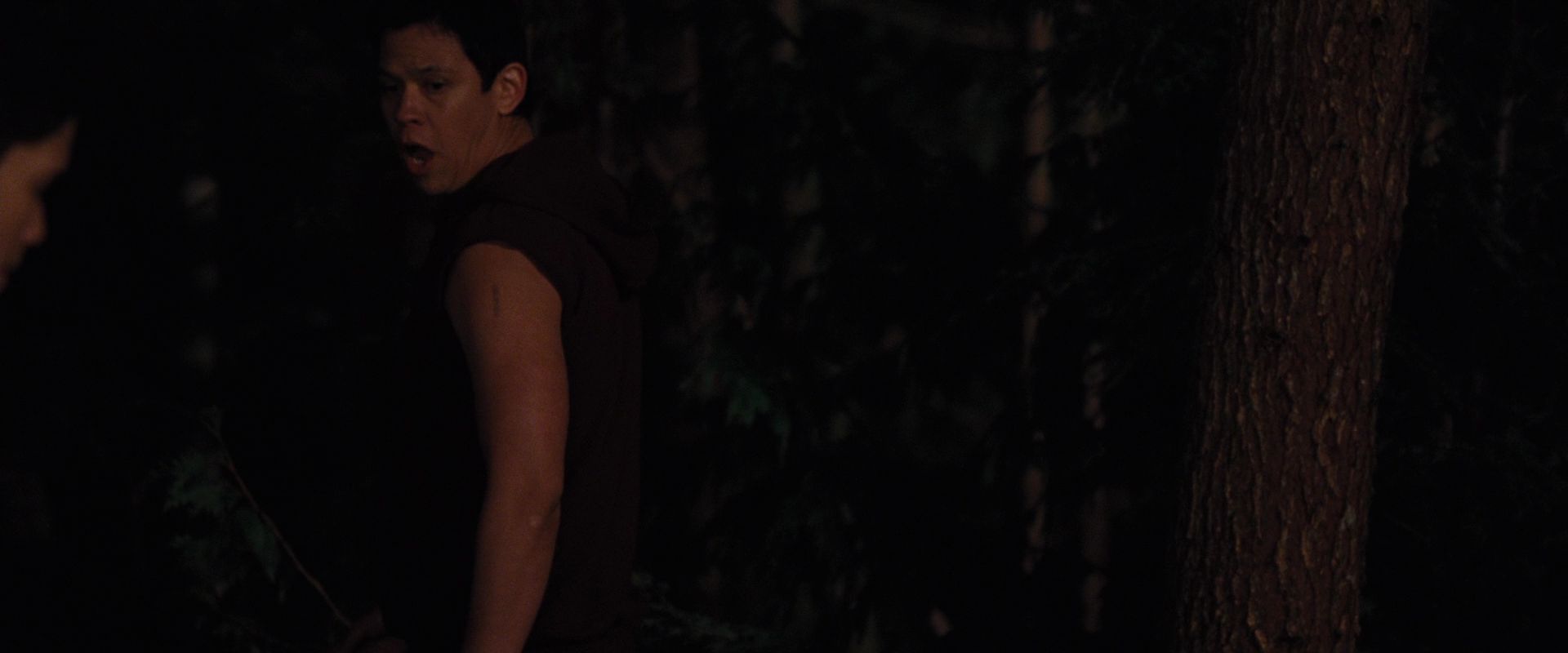BreakingDawnPt1-1084.jpg