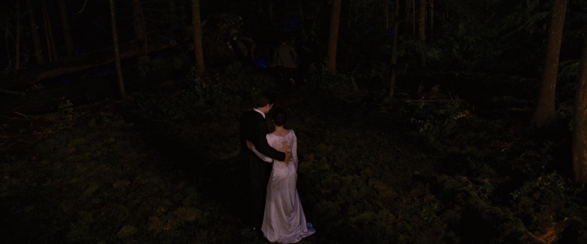 BreakingDawnPt1-1088.jpg