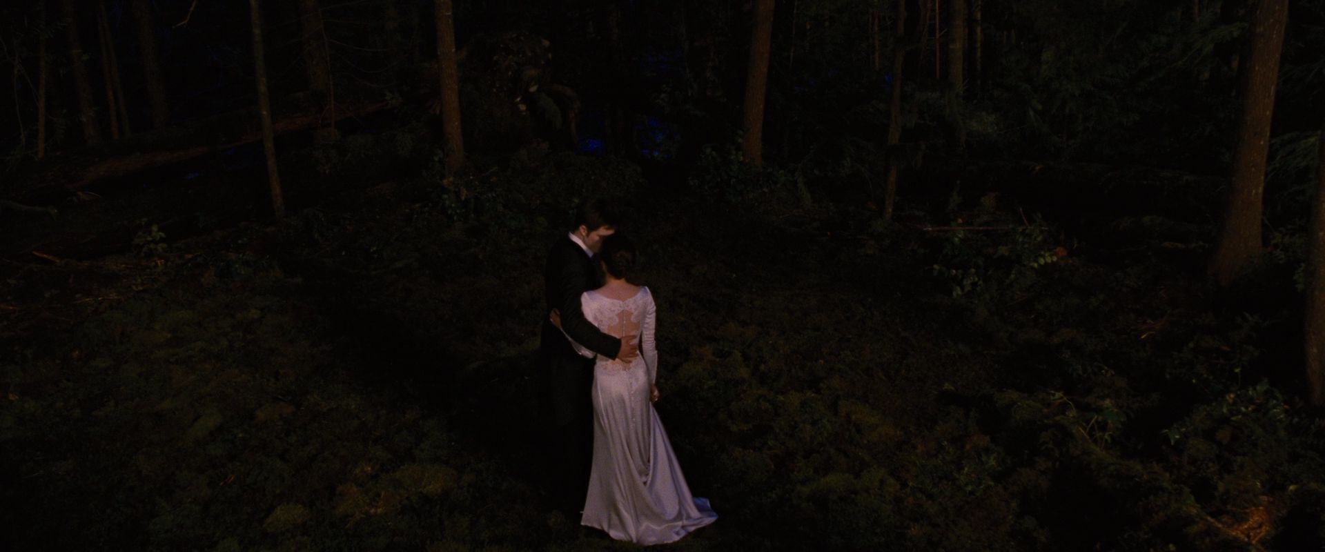 BreakingDawnPt1-1089.jpg