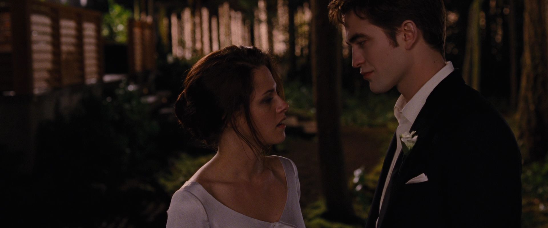 BreakingDawnPt1-1093.jpg