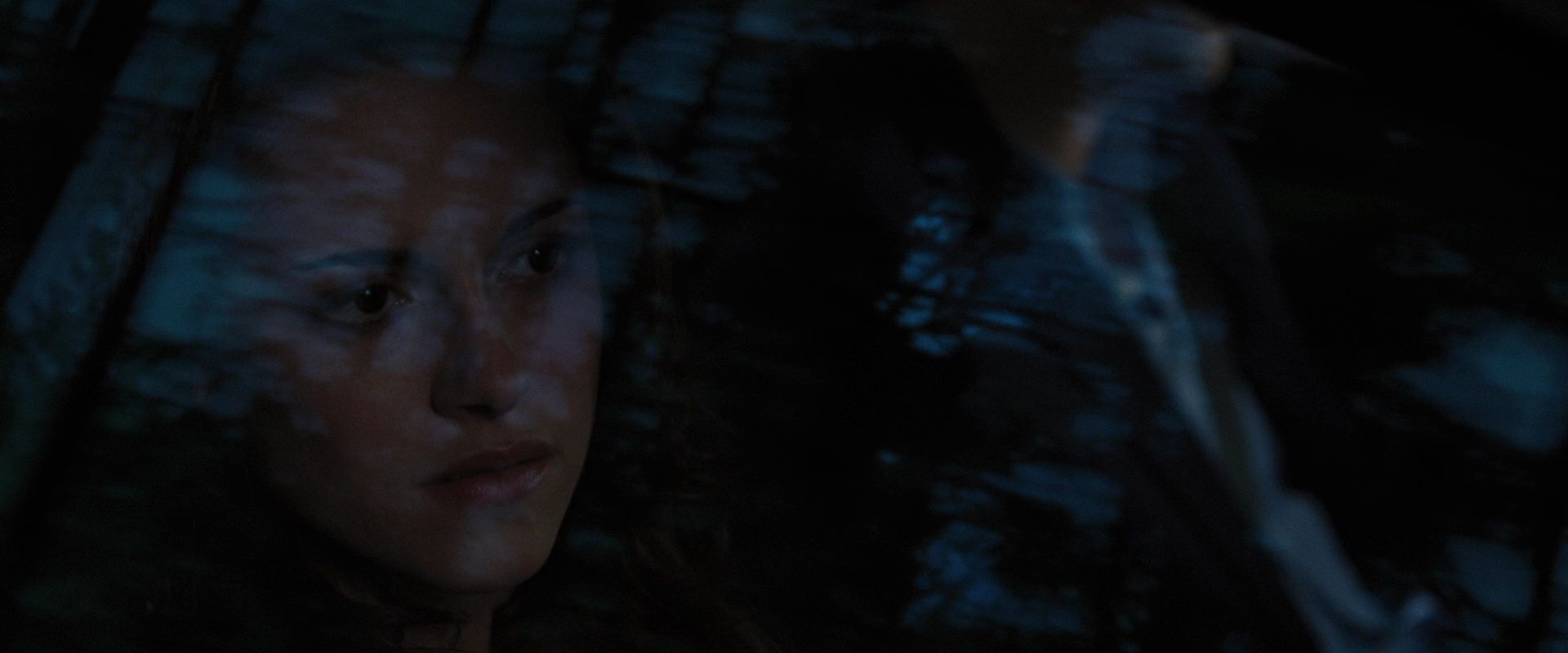 BreakingDawnPt1-1260.jpg