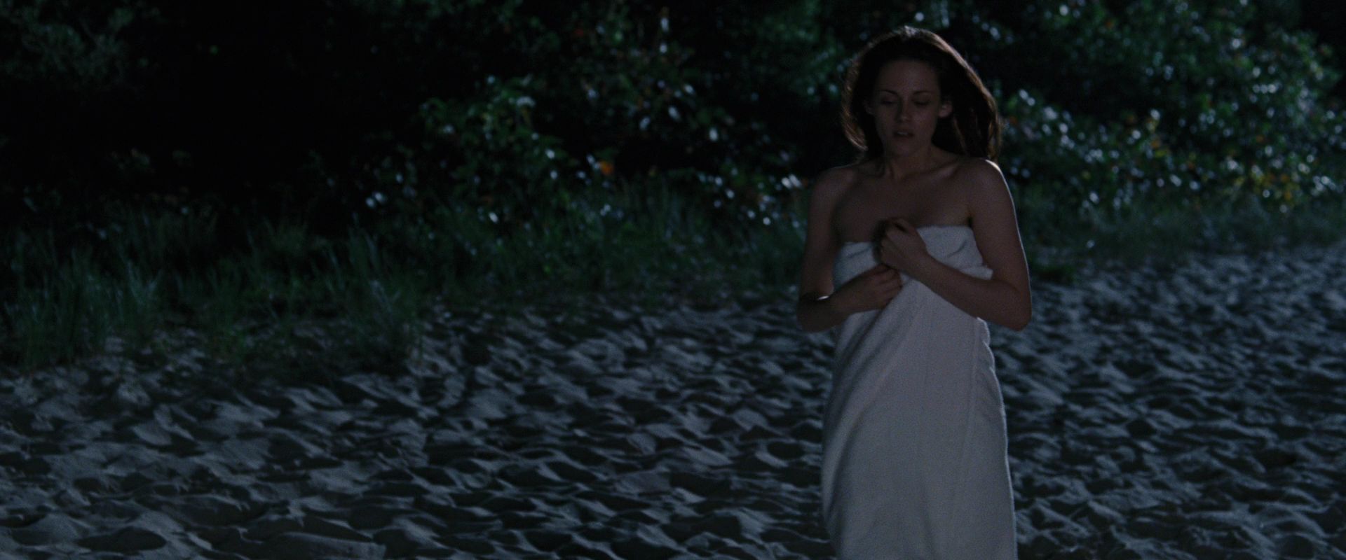 BreakingDawnPt1-1470.jpg
