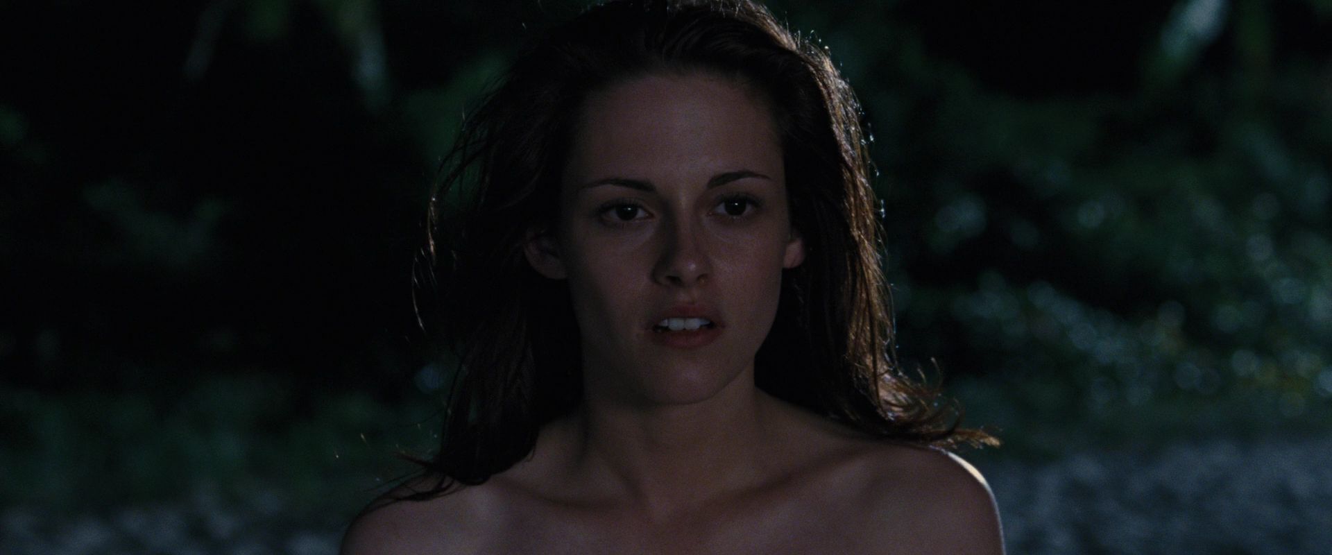 BreakingDawnPt1-1487.jpg