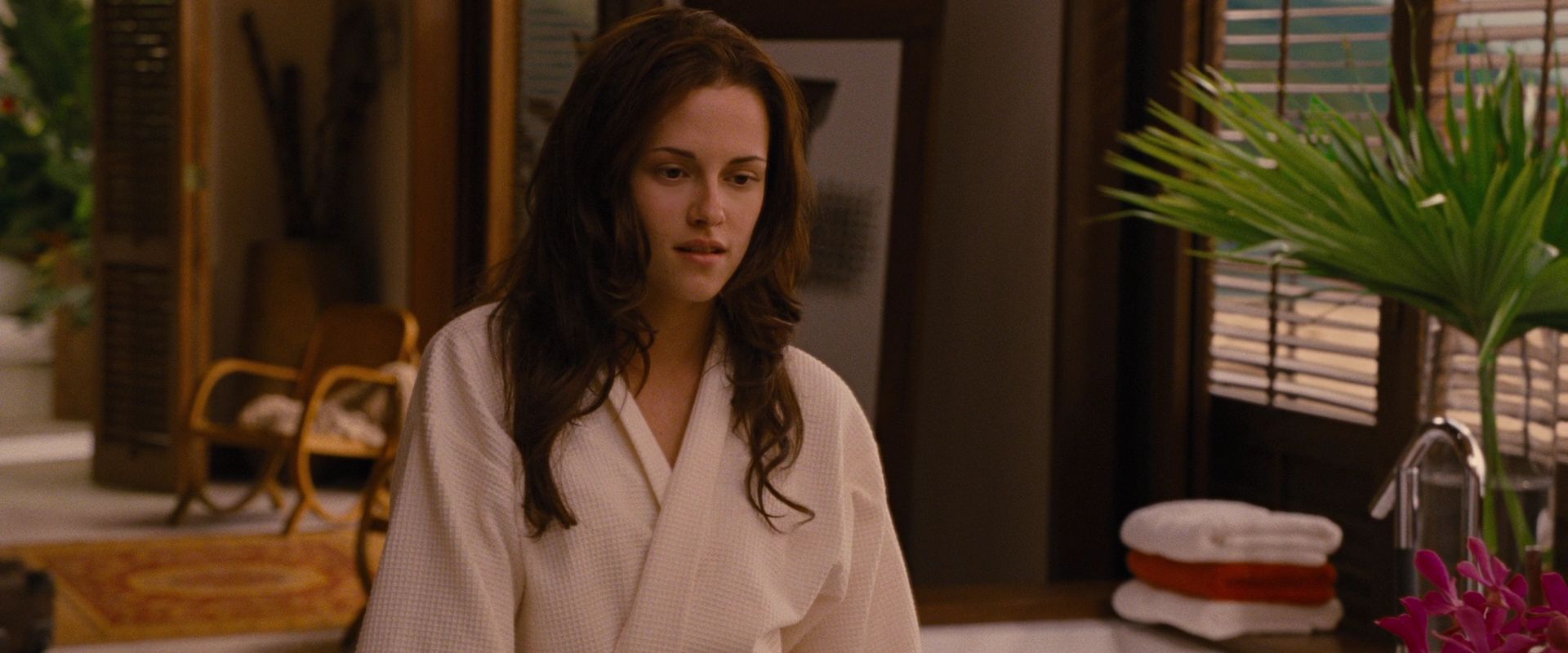 BreakingDawnPt1-1605.jpg
