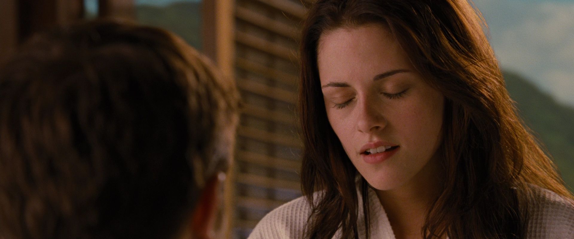 BreakingDawnPt1-1687.jpg