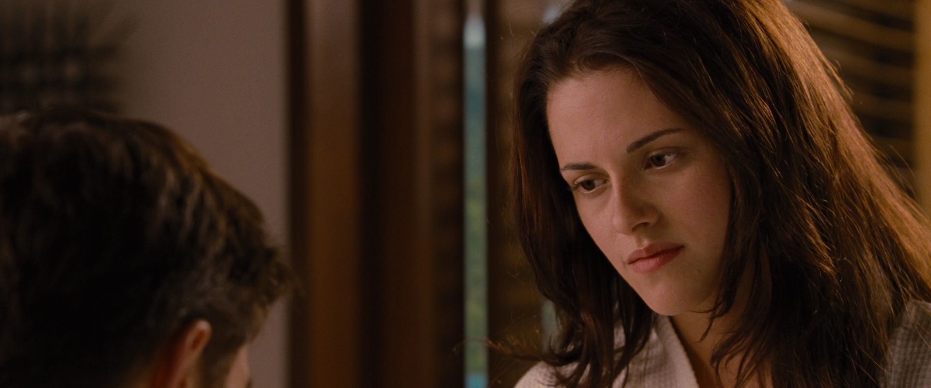 BreakingDawnPt1-1698.jpg