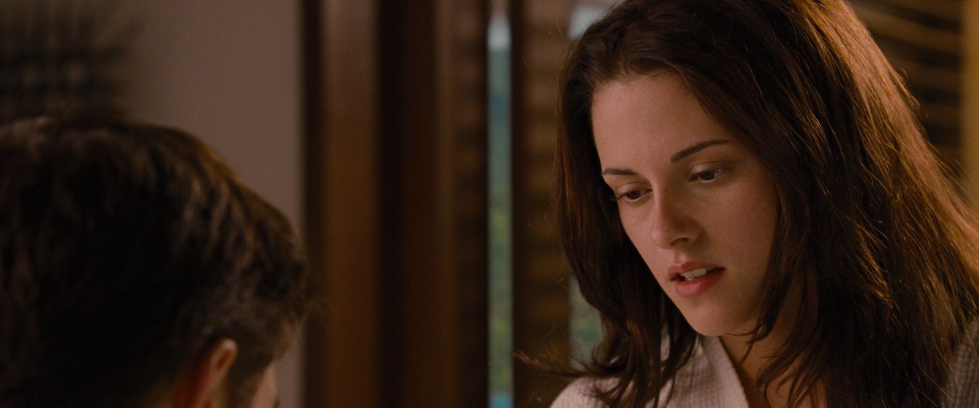 BreakingDawnPt1-1699.jpg