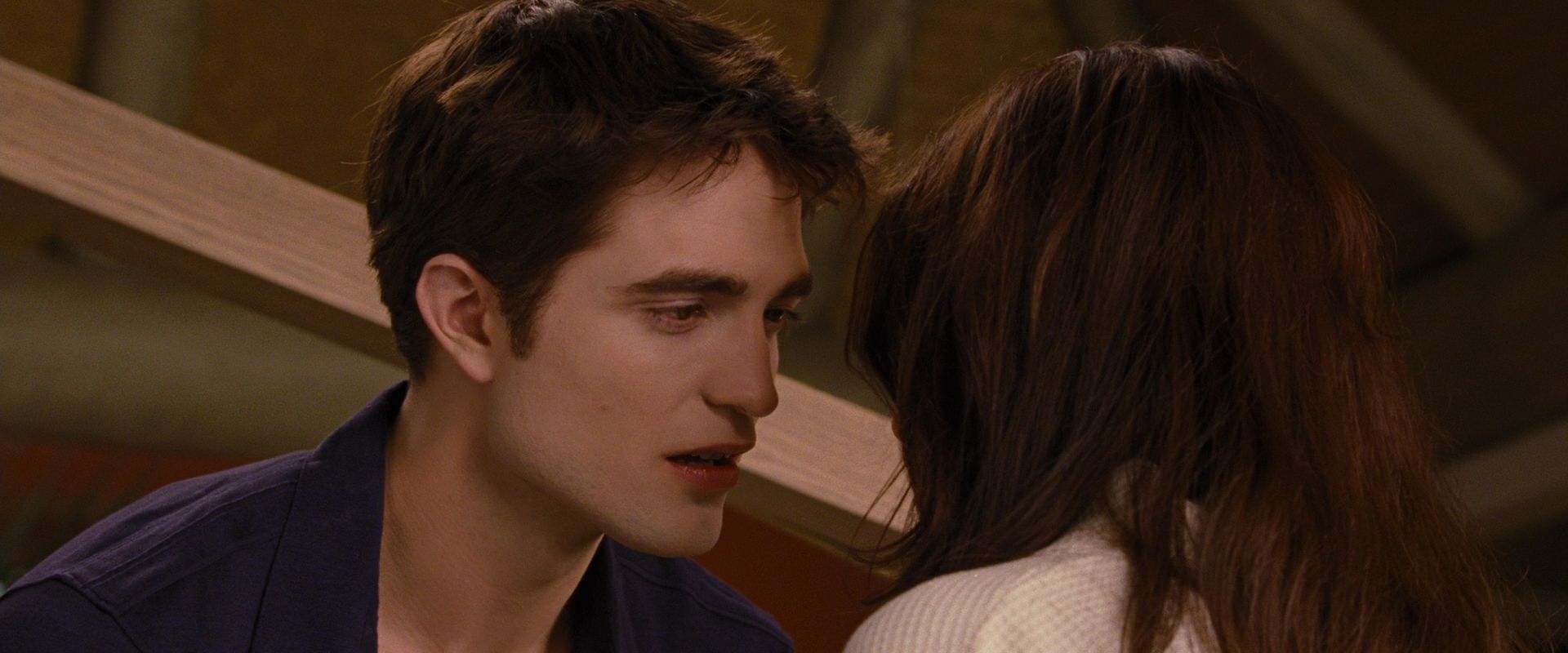 BreakingDawnPt1-1713.jpg