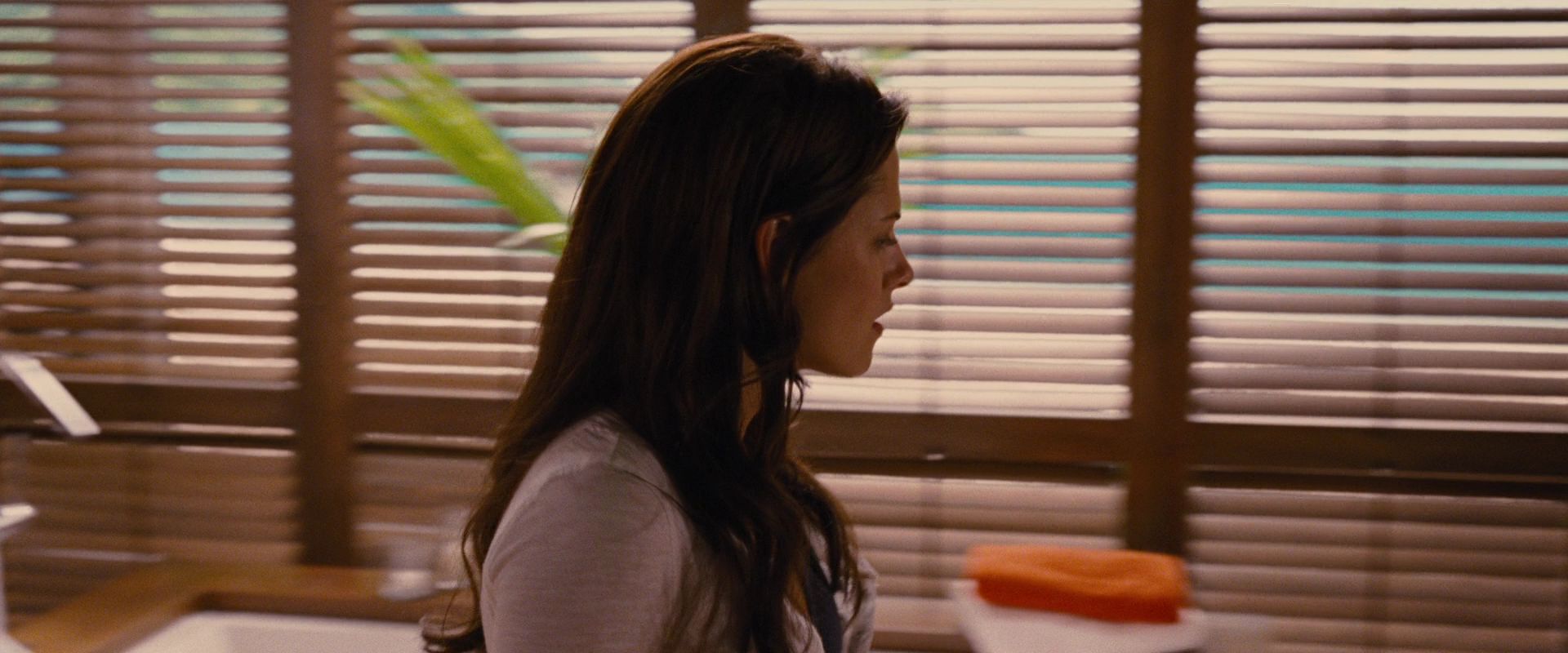 BreakingDawnPt1-2108.jpg
