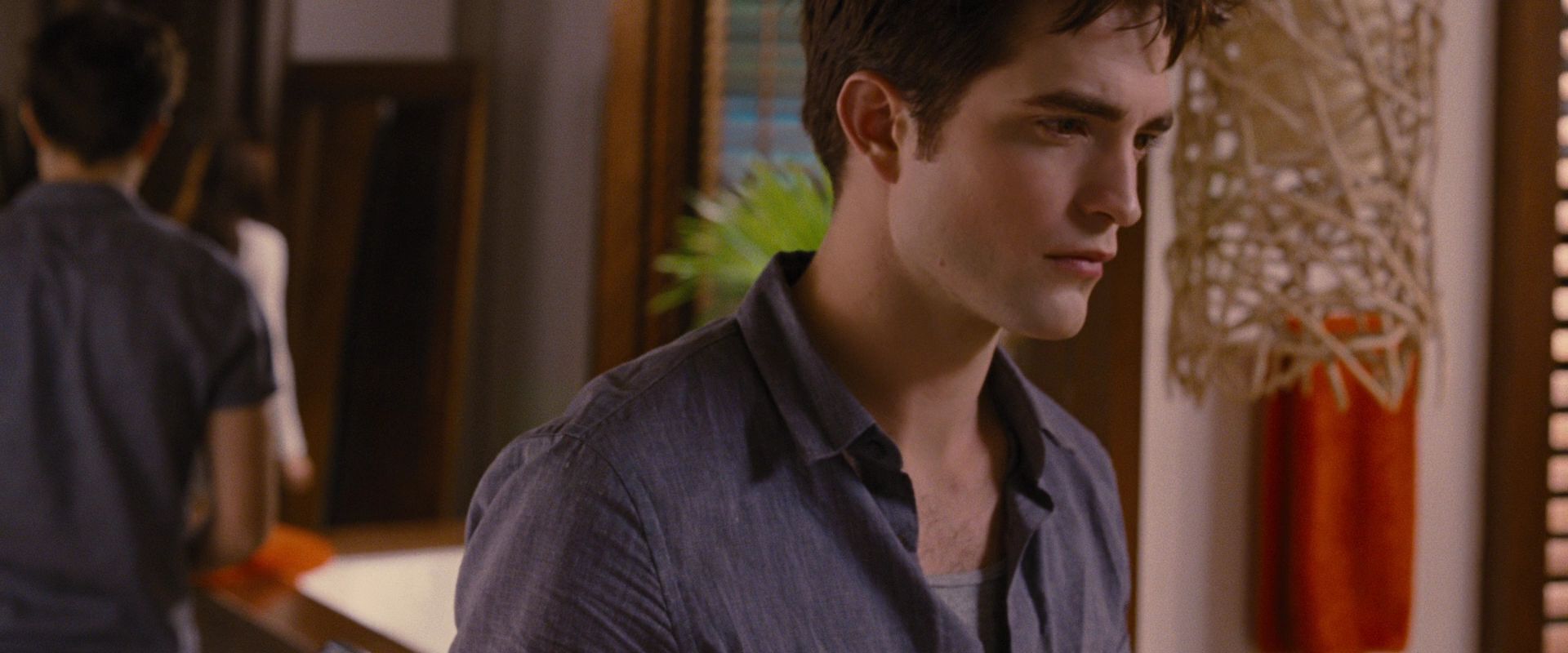 BreakingDawnPt1-2112.jpg