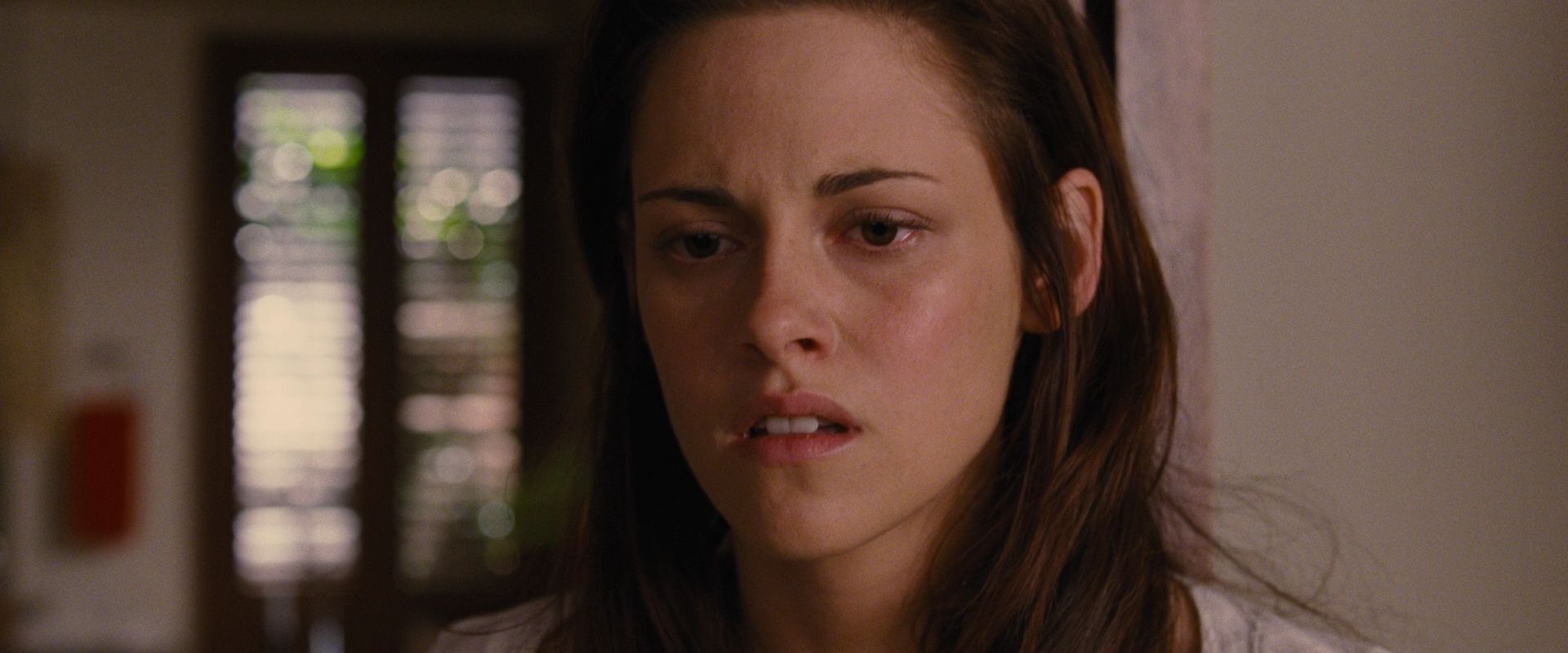 BreakingDawnPt1-2173.jpg