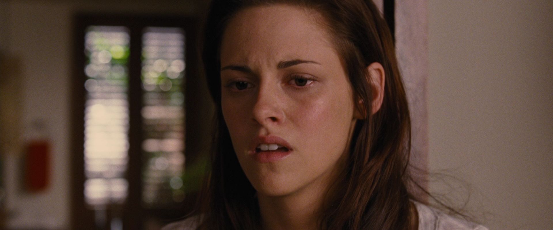 BreakingDawnPt1-2174.jpg