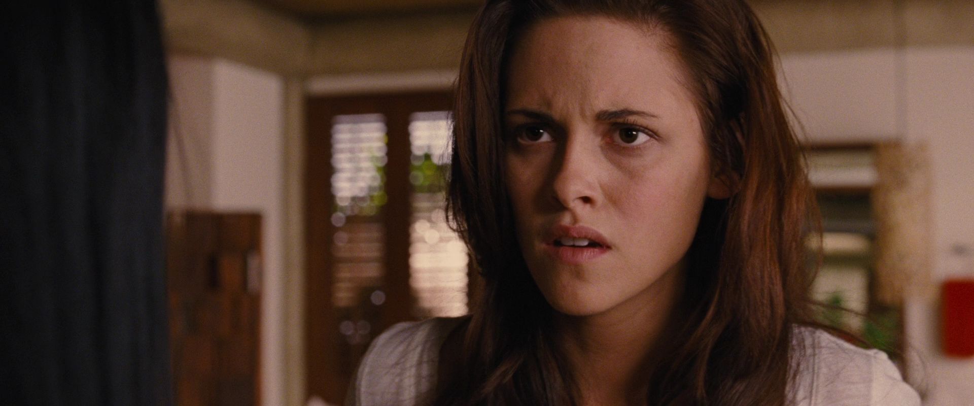 BreakingDawnPt1-2243.jpg