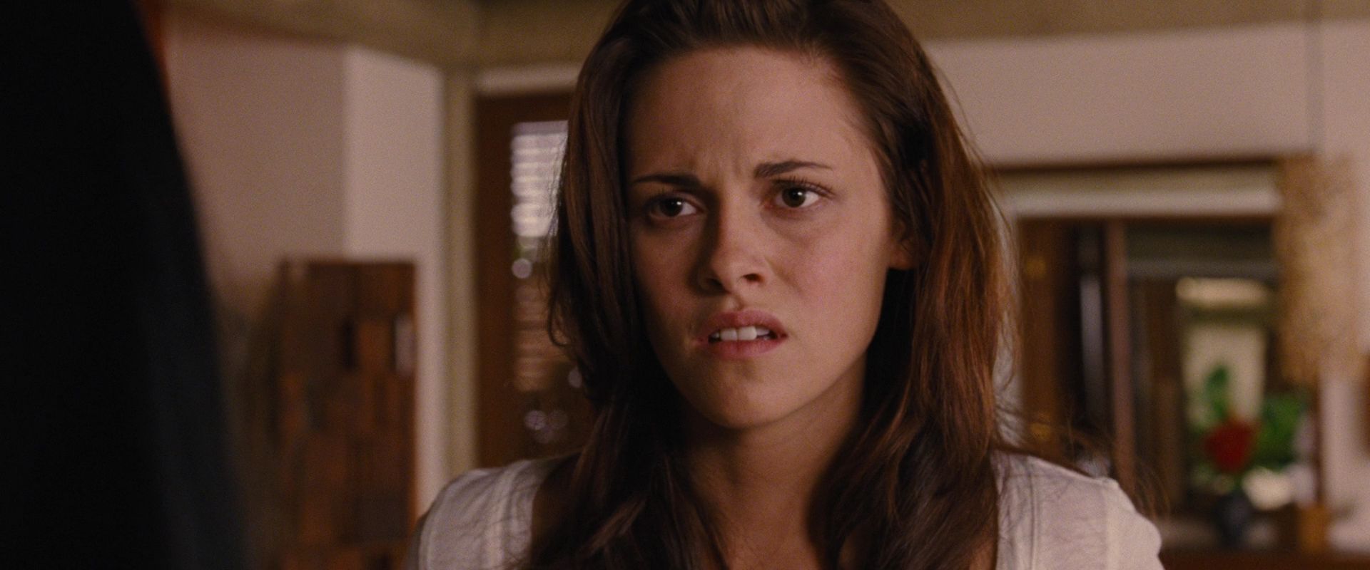 BreakingDawnPt1-2245.jpg