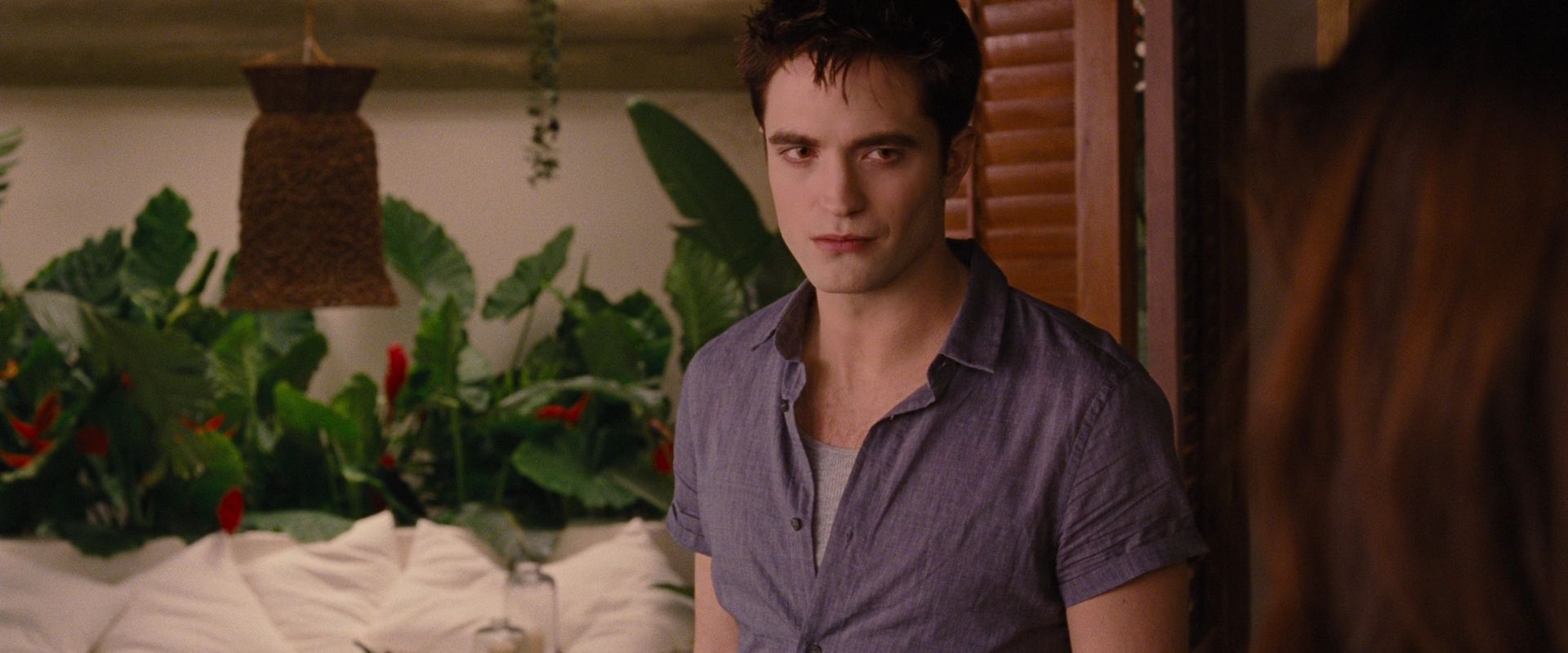 BreakingDawnPt1-2250.jpg