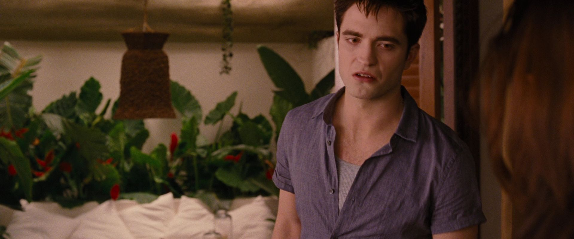 BreakingDawnPt1-2254.jpg