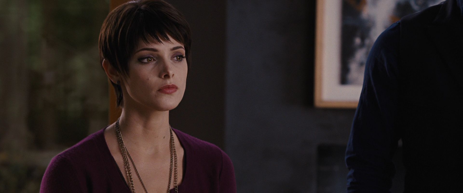 BreakingDawnPt1-2380.jpg