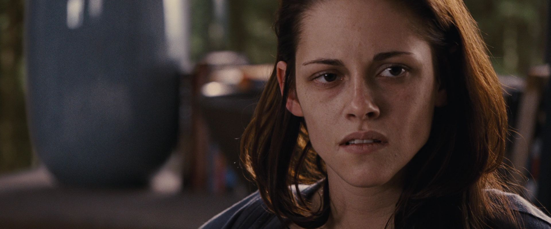 BreakingDawnPt1-2444.jpg