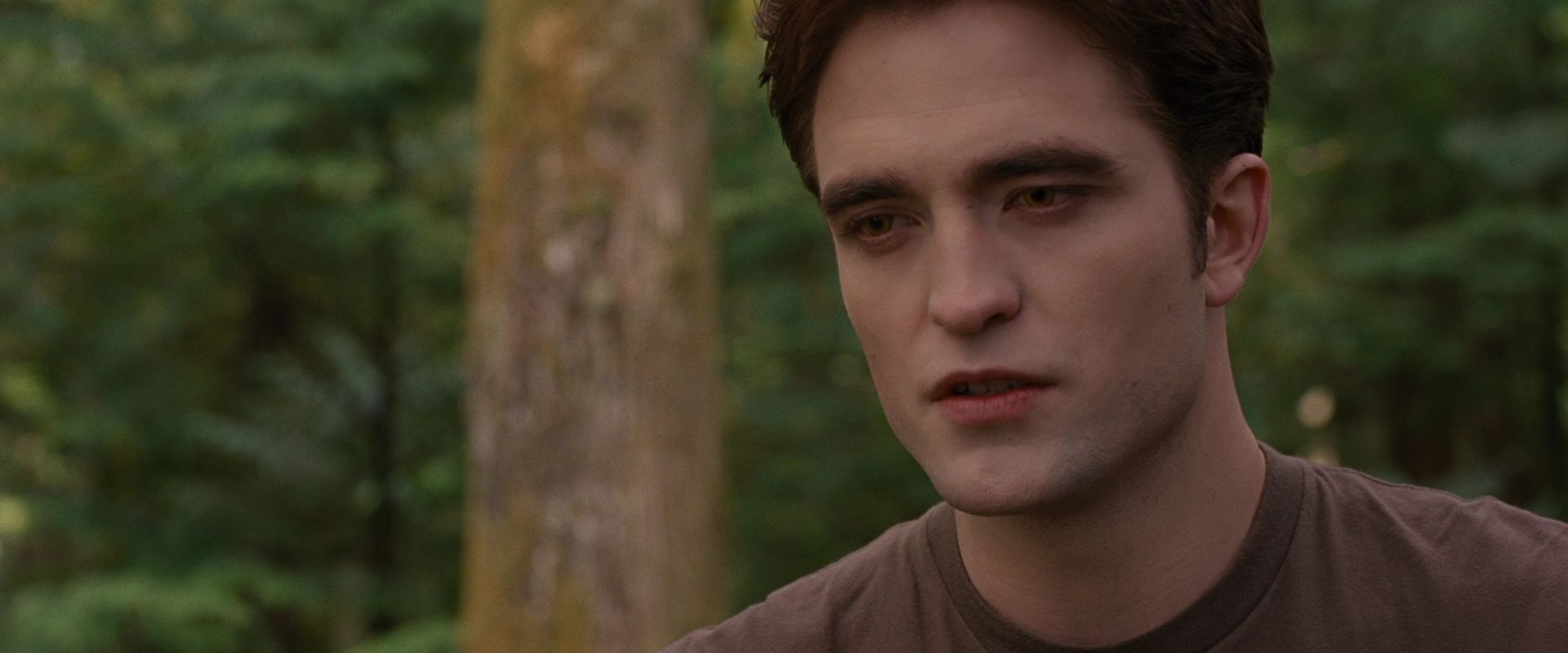 BreakingDawnPt1-2478.jpg