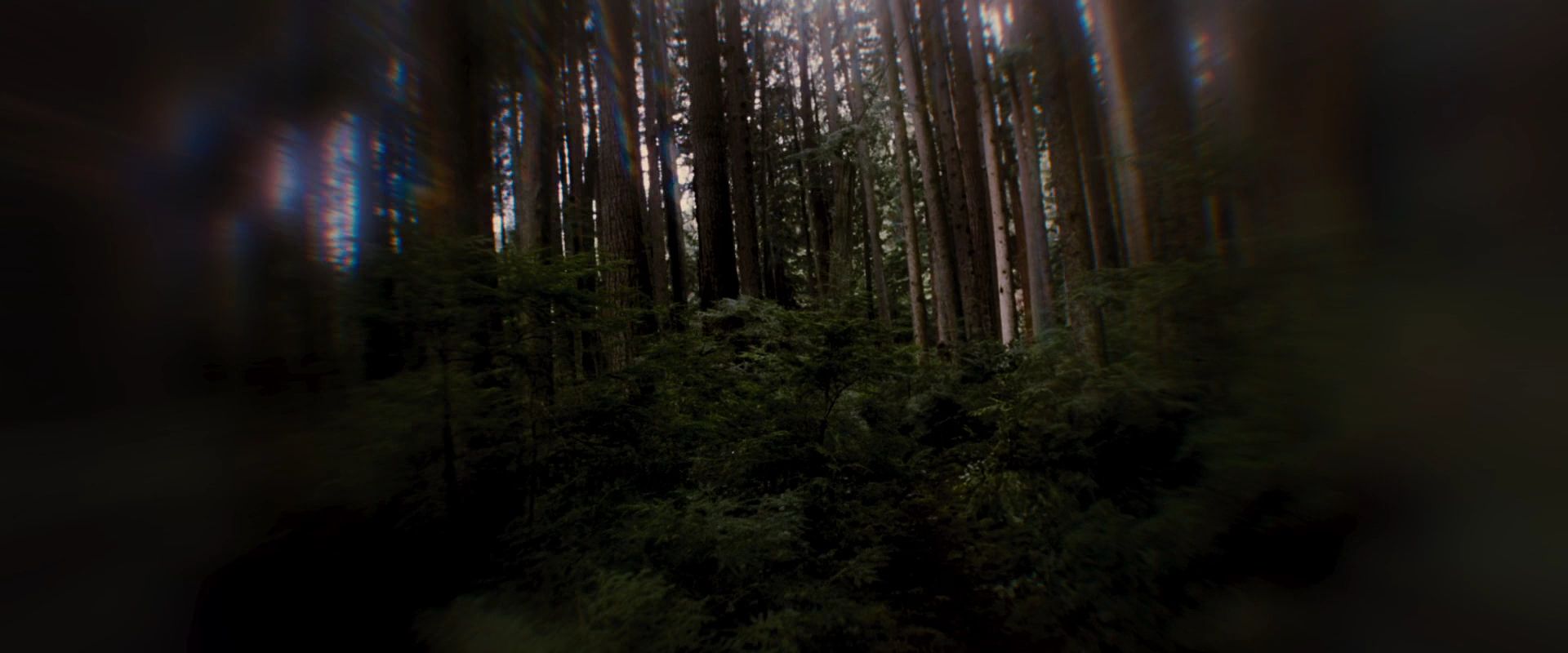 BreakingDawnPt1-2585.jpg