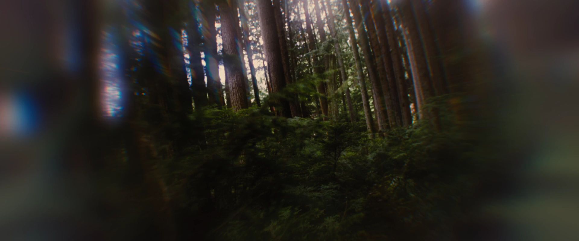 BreakingDawnPt1-2586.jpg