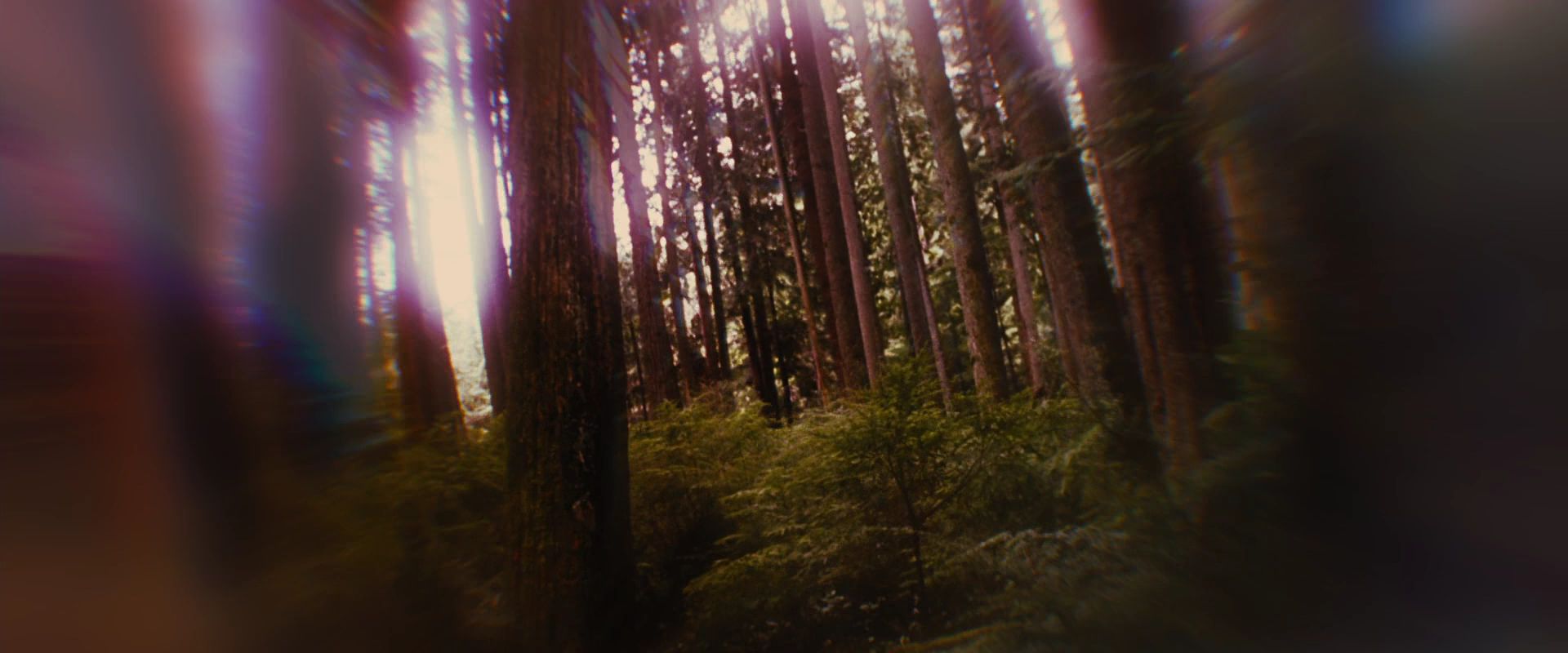 BreakingDawnPt1-2587.jpg