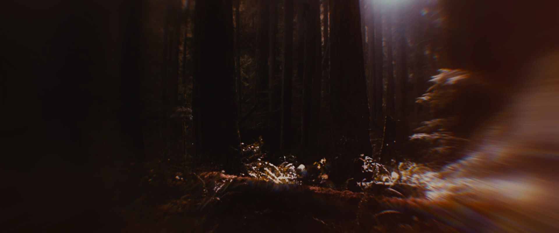 BreakingDawnPt1-2588.jpg