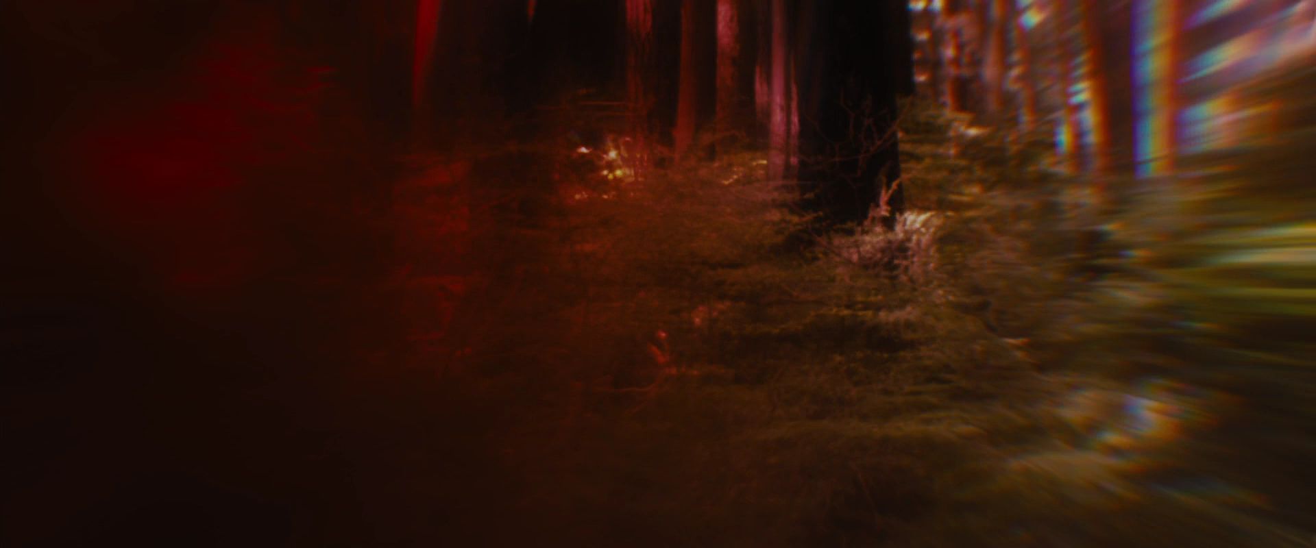 BreakingDawnPt1-2590.jpg