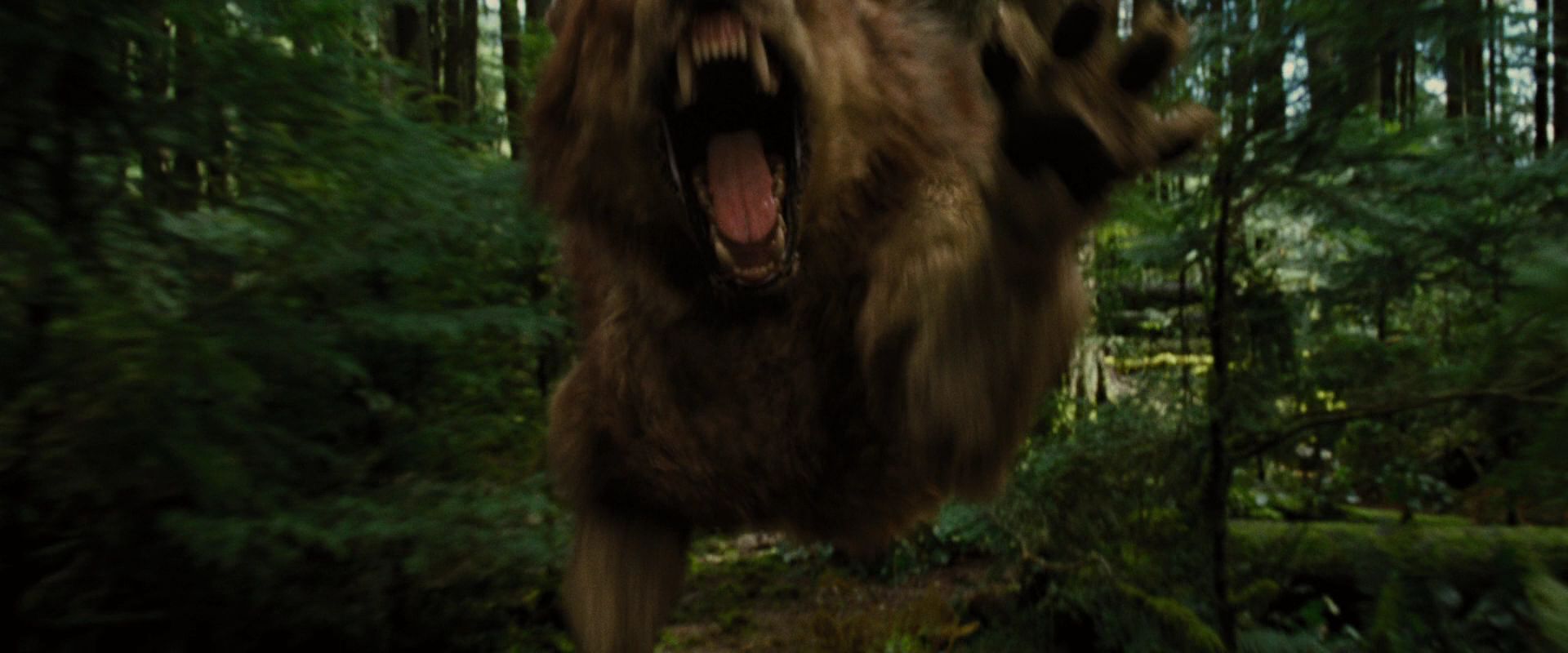 BreakingDawnPt1-2593.jpg