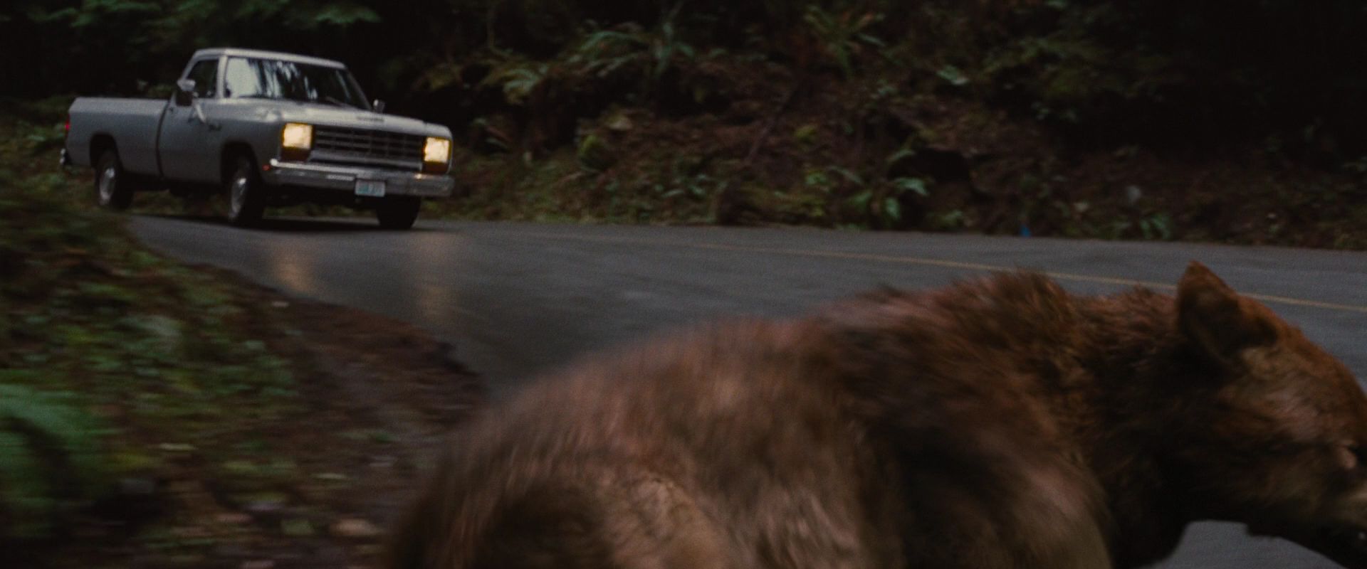 BreakingDawnPt1-2601.jpg