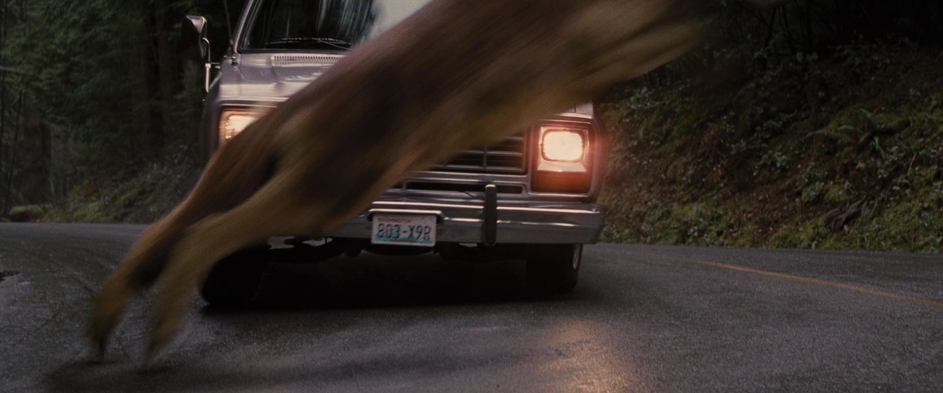 BreakingDawnPt1-2603.jpg