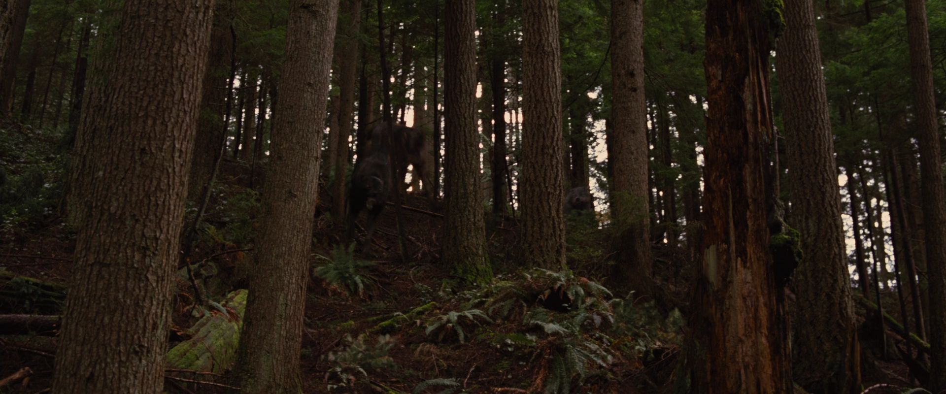 BreakingDawnPt1-2613.jpg