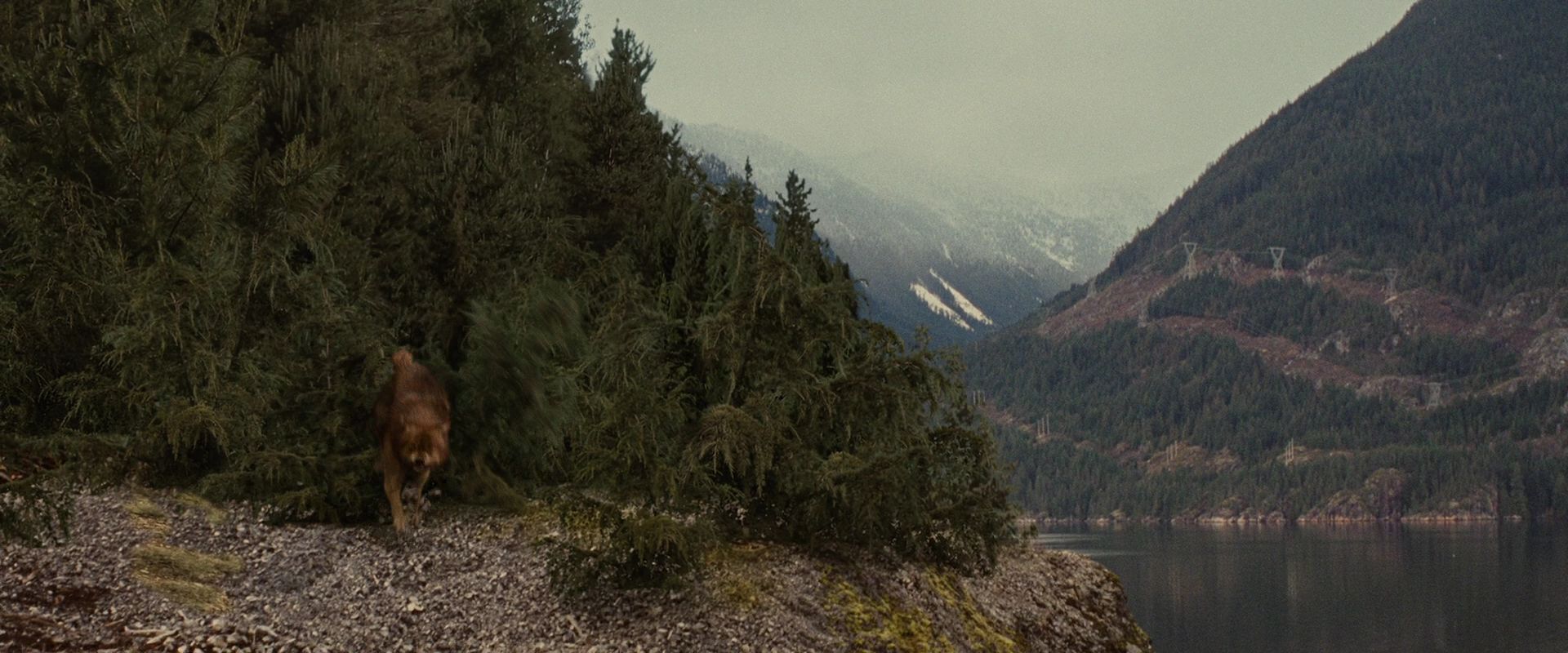 BreakingDawnPt1-2614.jpg