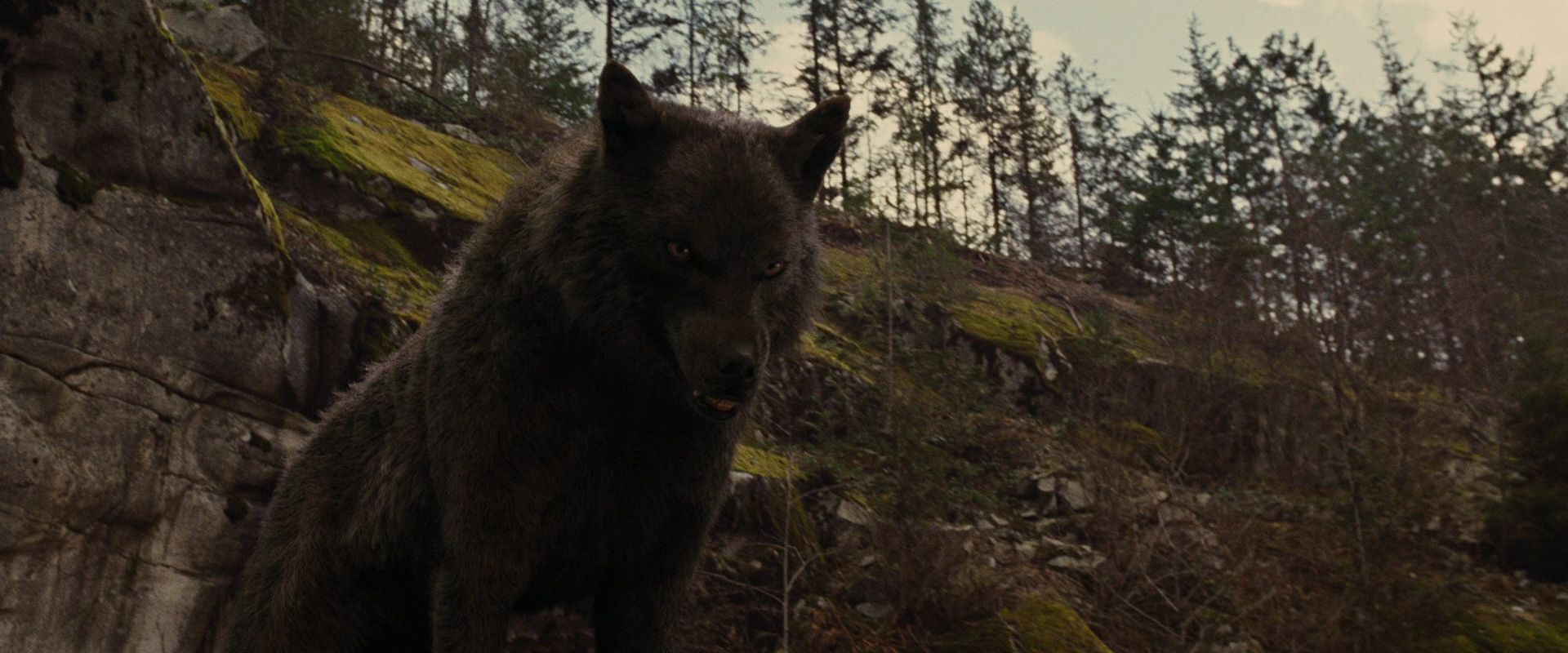 BreakingDawnPt1-2625.jpg