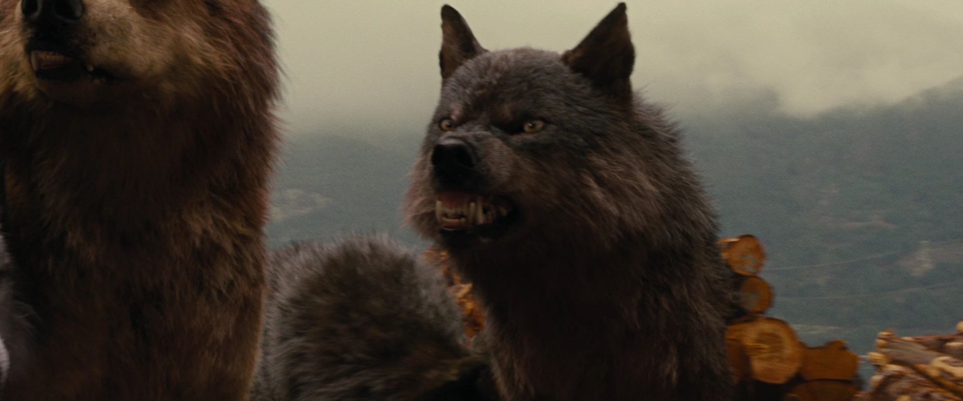 BreakingDawnPt1-2627.jpg