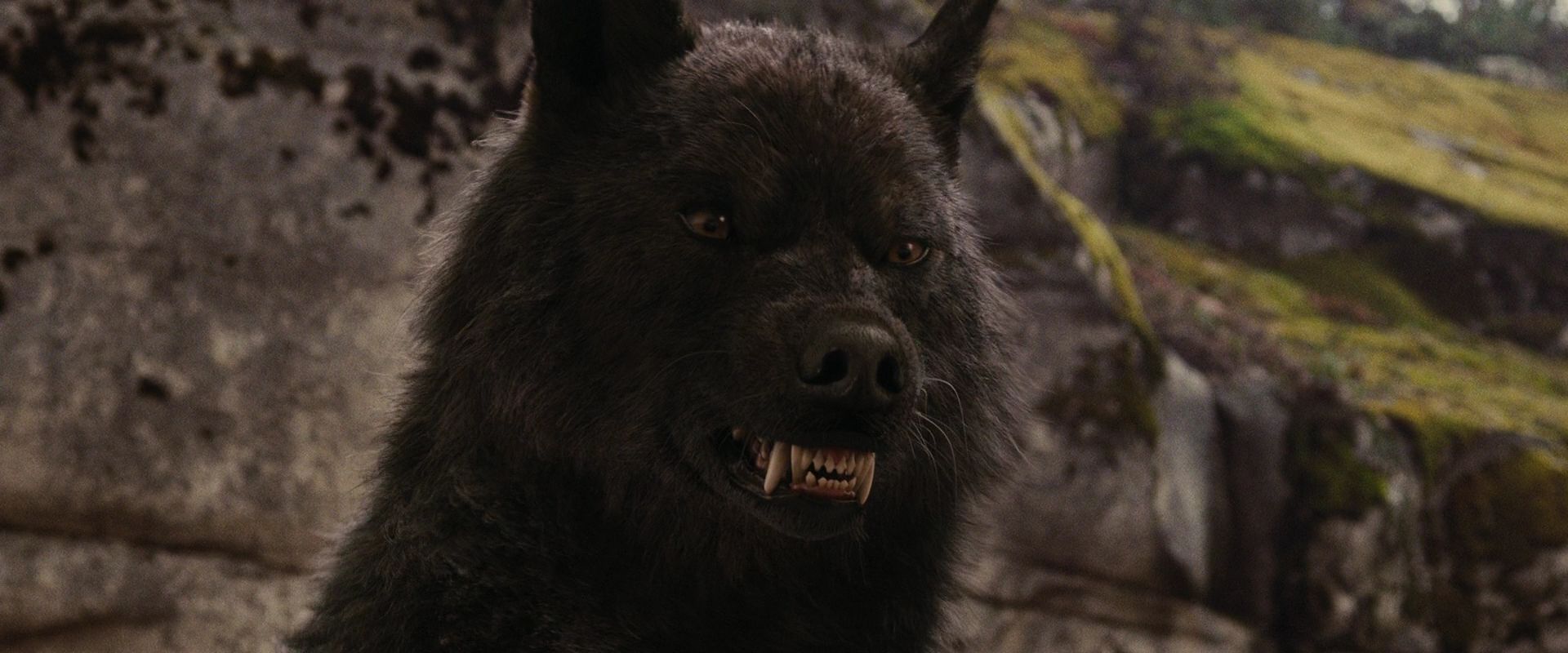 BreakingDawnPt1-2630.jpg